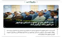 شب شعر علوی جنوب استان بوشهر در  شهر بنک برگزار شد