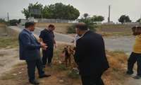 بازدید معاون سیاسی، امنیتی و اجتماعی فرمانداری کنگان از اداره دامپزشکی شهرستان