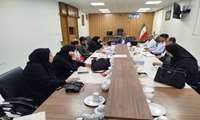 معاون سیاسی اجتماعی فرمانداری کنگان: ظرفیت همه دستگاه‌ها برای ایجاد نشاط و شکوفایی استعدادهای کودکان به‌کار گرفته شود 